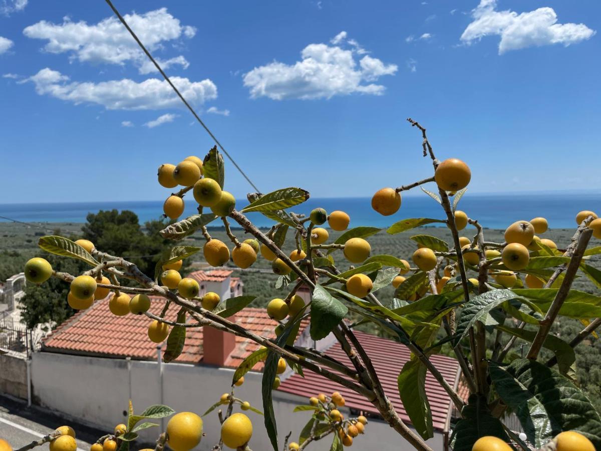Villetta - Qui Dove Il Mare Luccica - Affitti Brevi Italia Monte SantʼAngelo Εξωτερικό φωτογραφία