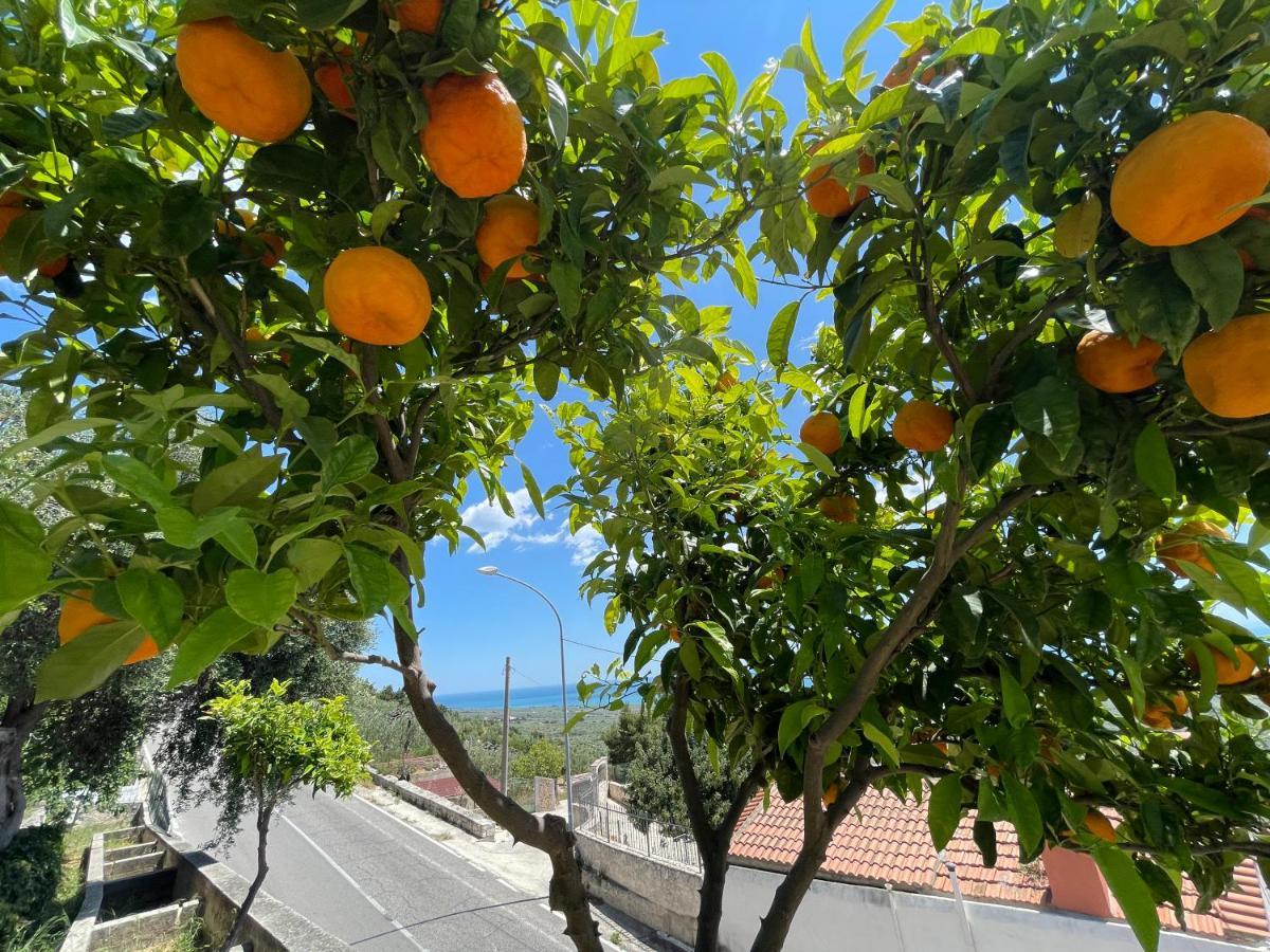 Villetta - Qui Dove Il Mare Luccica - Affitti Brevi Italia Monte SantʼAngelo Εξωτερικό φωτογραφία