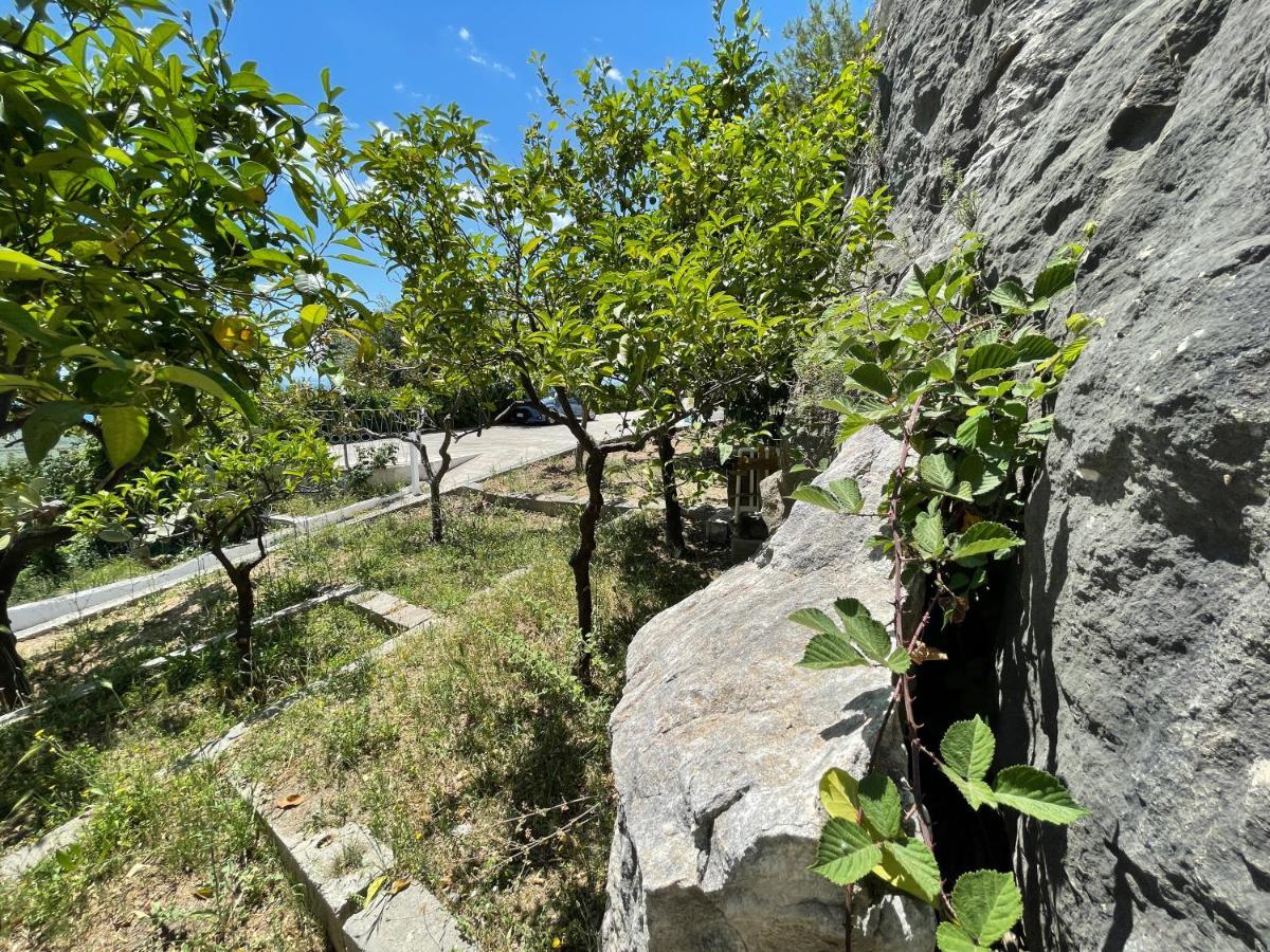 Villetta - Qui Dove Il Mare Luccica - Affitti Brevi Italia Monte SantʼAngelo Εξωτερικό φωτογραφία