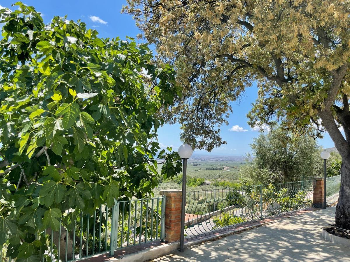 Villetta - Qui Dove Il Mare Luccica - Affitti Brevi Italia Monte SantʼAngelo Εξωτερικό φωτογραφία